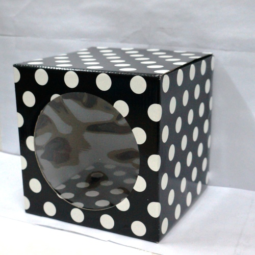Caja Visor Cubo 20x20cm